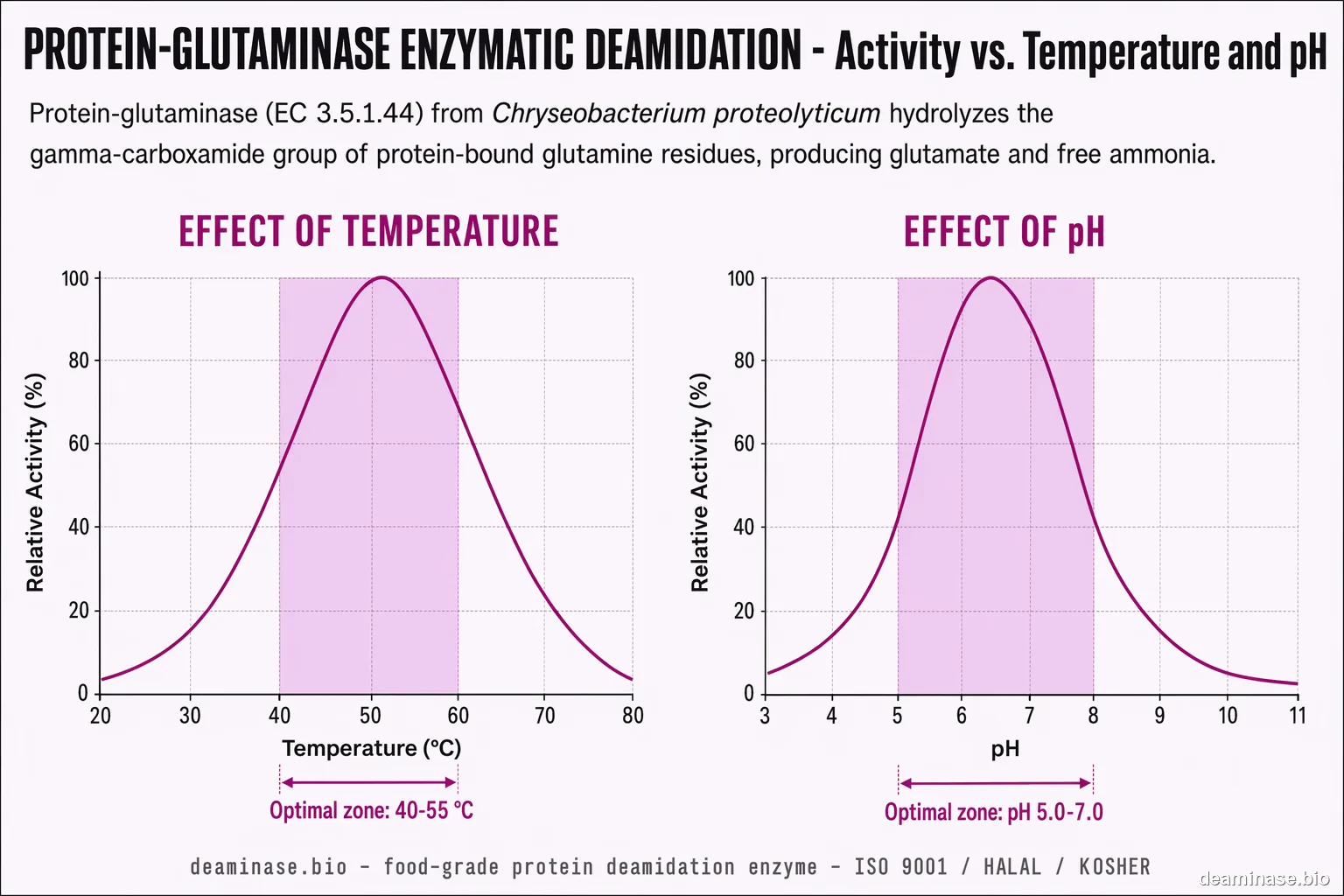 Protein-Glutaminase (Protein Deaminase) reaction rate vs temperature and pH — bell curves with optimal zones shaded
